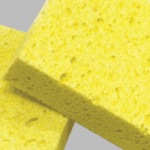 Cellulose Sponges Kentucky