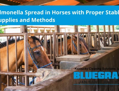 Prevent Salmonella Spread in Horses with Proper Stable Cleaning Supplies and Methods