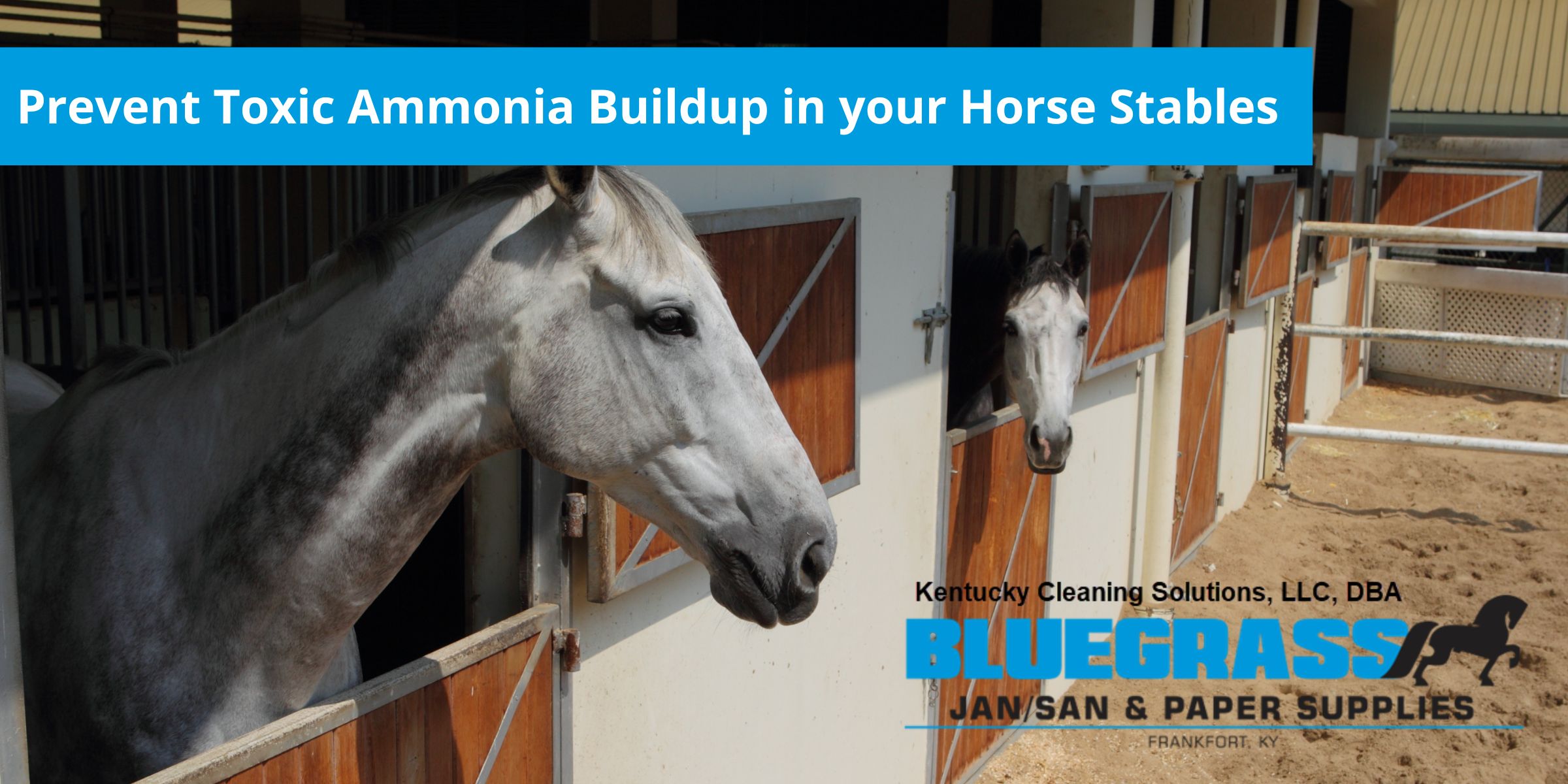 horse stable ammonia