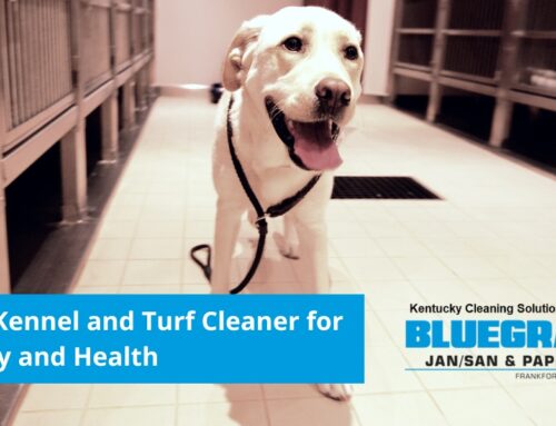The Best Turf and Dog Kennel Cleaner for Dog Safety and Health