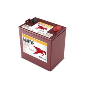 Trojan Battery – GC8, High-Performance AES AGM, from Bluegrass Janitorial in Lexington, Kentucky
