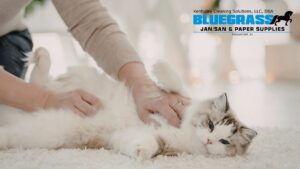 Animal Facility Disinfectant ProVetLogic - Bluegrass Janitorial in Lexington, Kentucky