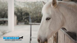 Stable Environment ProVetLogic Equine Herpesvirus - Bluegrass Janitorial in Lexington, Kentucky