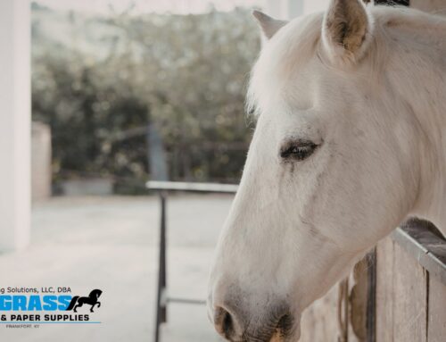 Safe Cleaning for Large Animal Facilities | STABLE Environment