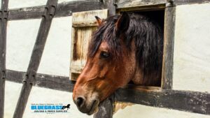 Stable Environment ProVetLogic Equine Herpesvirus - Bluegrass Janitorial in Lexington, Kentucky