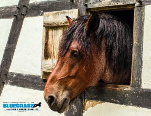 How to Reduce Ammonia Levels in Horse Stables Safely and Effectively