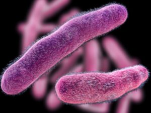 Animal Facility Disinfectant ProVetLogic - Bluegrass Janitorial in Lexington, Kentucky
