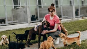 Canine Parvovirus (CPV): Prevention Through Proper Cleaning and Disinfection - Bluegrass Janitorial in Lexington, Kentucky
