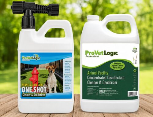 Best Kennel Cleaning Products to Keep Animal Facilities Safe